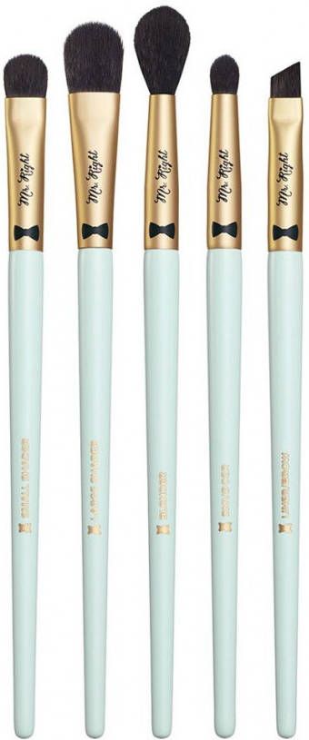 Too Faced Mr Right Eye Essentials make up kwastenset